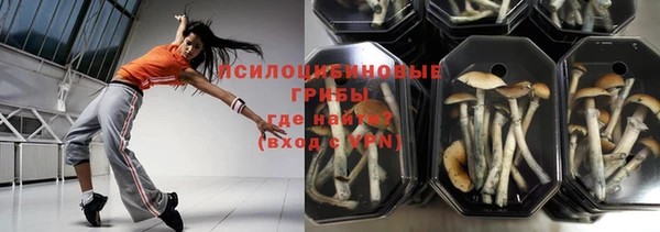 прущая мука Алзамай