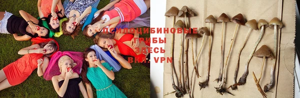 прущая мука Алзамай